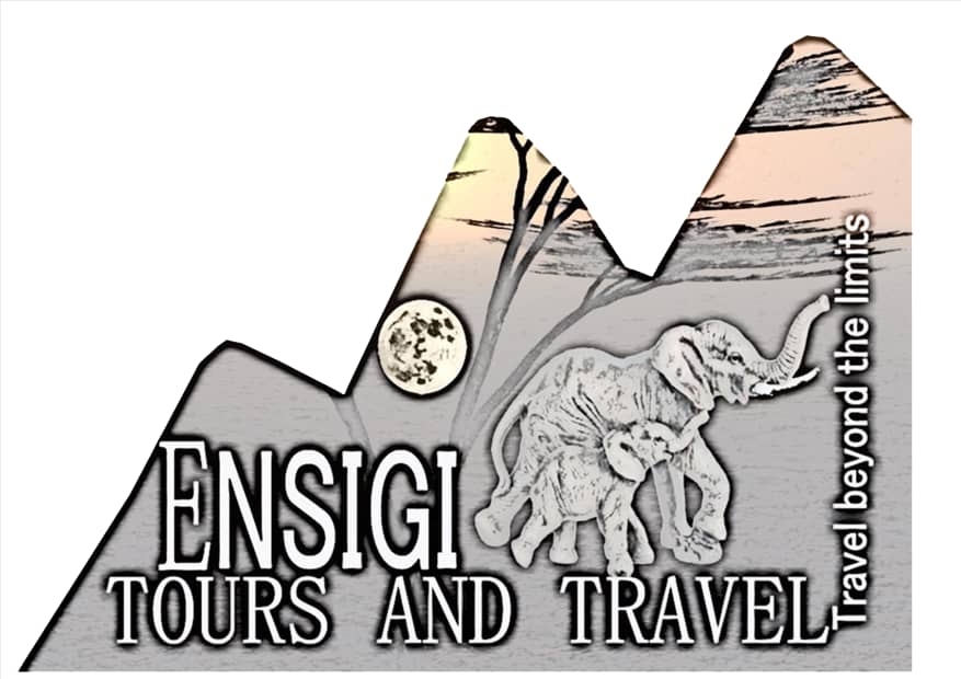 Ensigi Tours and Travel